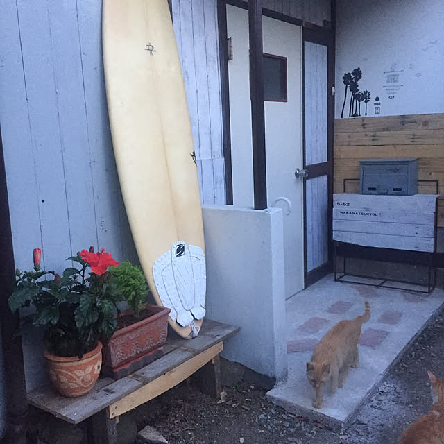 Yutaさんの実例写真