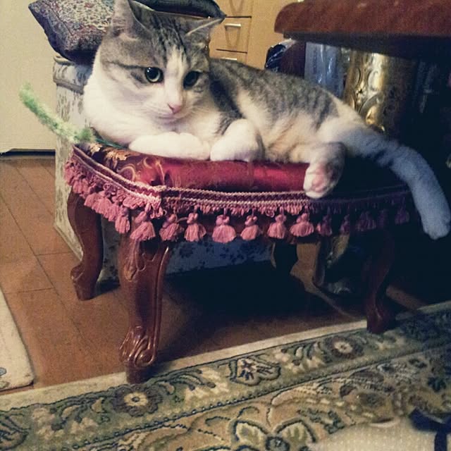 emmyyさんの実例写真