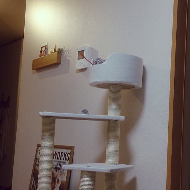 nyancoさんの実例写真