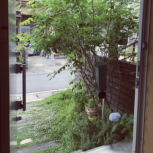 玄関/入り口のインテリア実例 - 2017-06-12 10:52:45