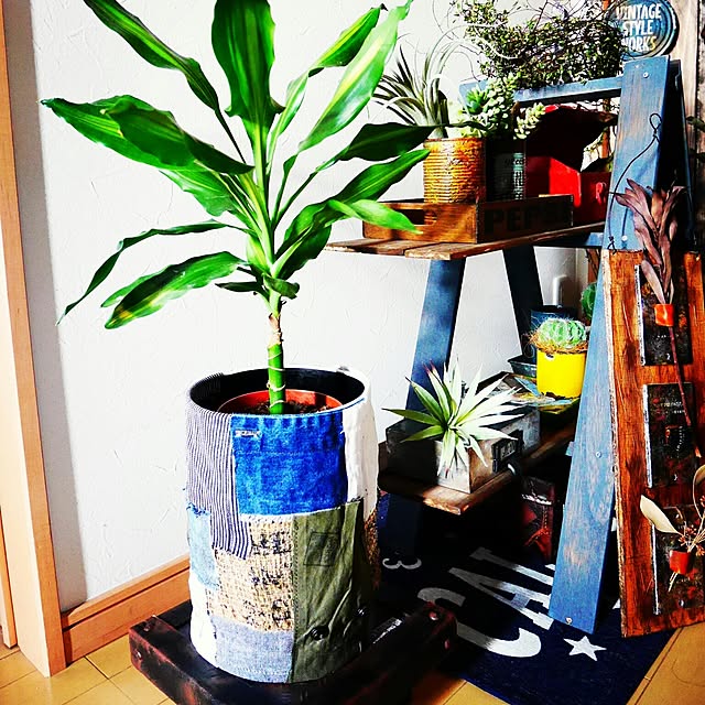 andante365さんの実例写真
