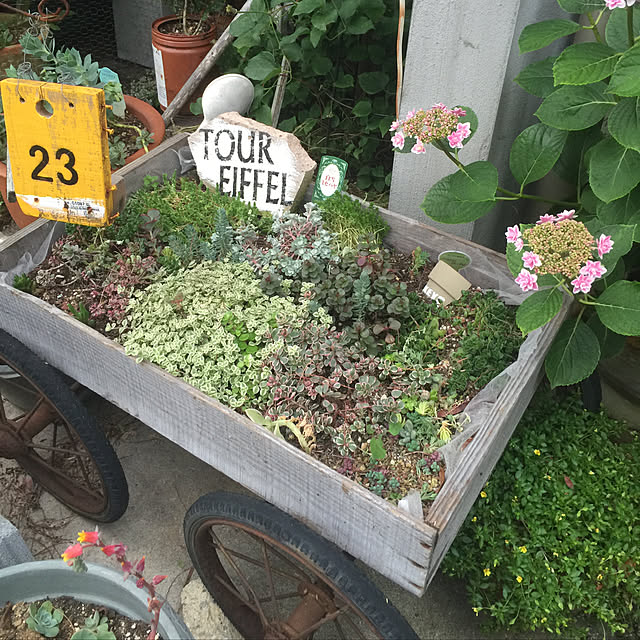 yomogichanさんの実例写真