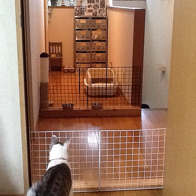 Mikaさんの実例写真