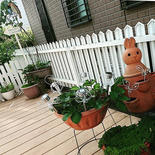 Ohigeさんの実例写真