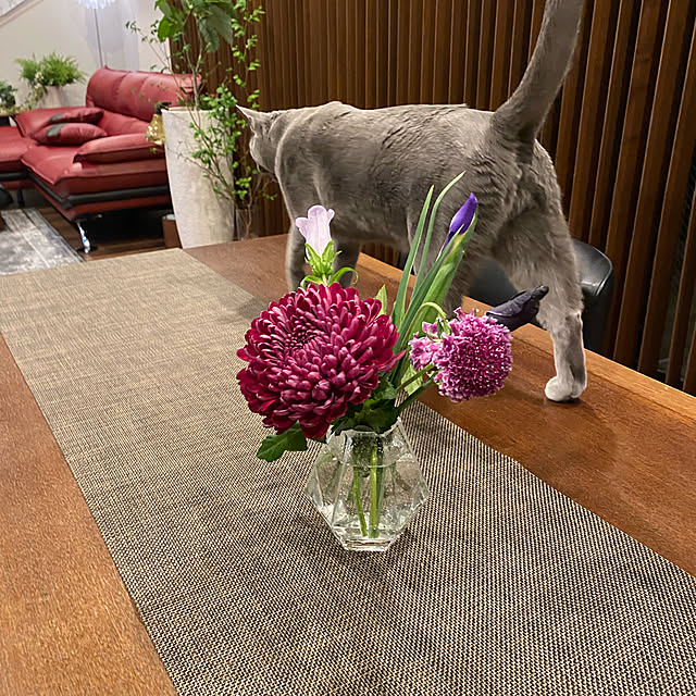 yumi.snoopさんの実例写真