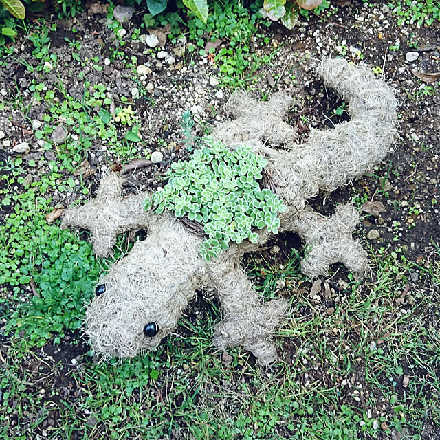 demetanさんの実例写真