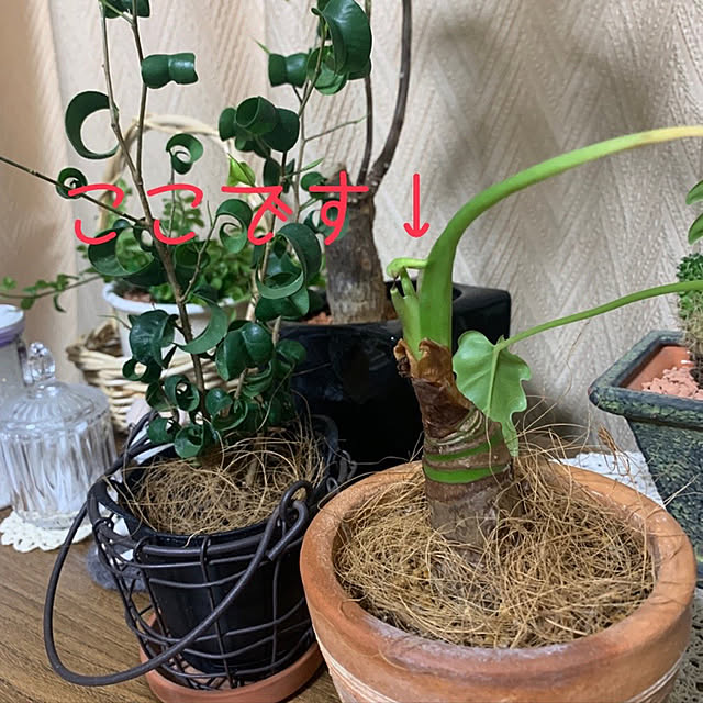 JUNさんの実例写真