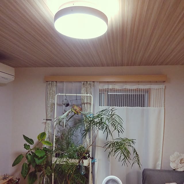 chocococoaさんの部屋