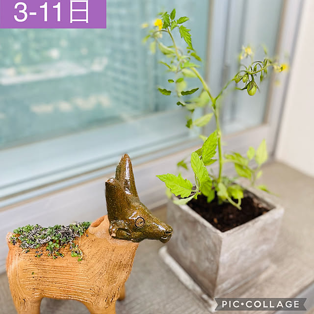 aureaさんの実例写真