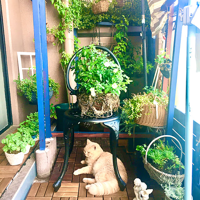naokoさんの実例写真
