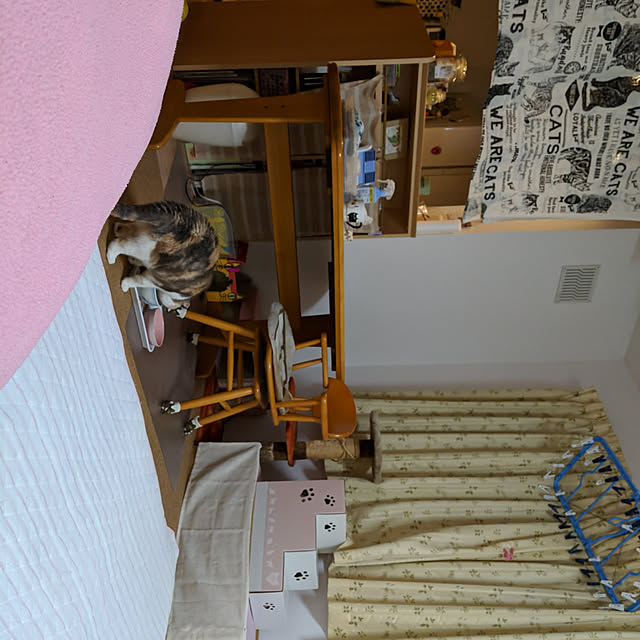 Shoさんの部屋