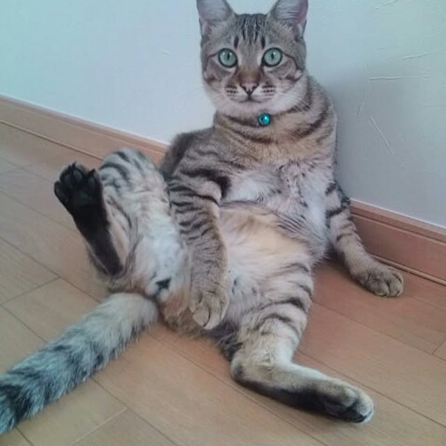 S9000さんの実例写真