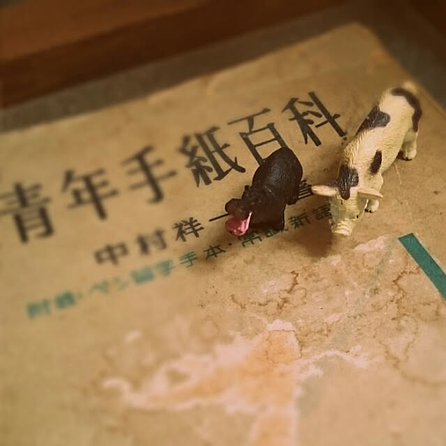 ruu_____さんの実例写真