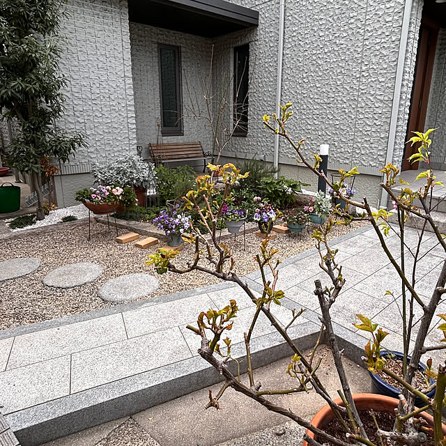 cocoさんの実例写真