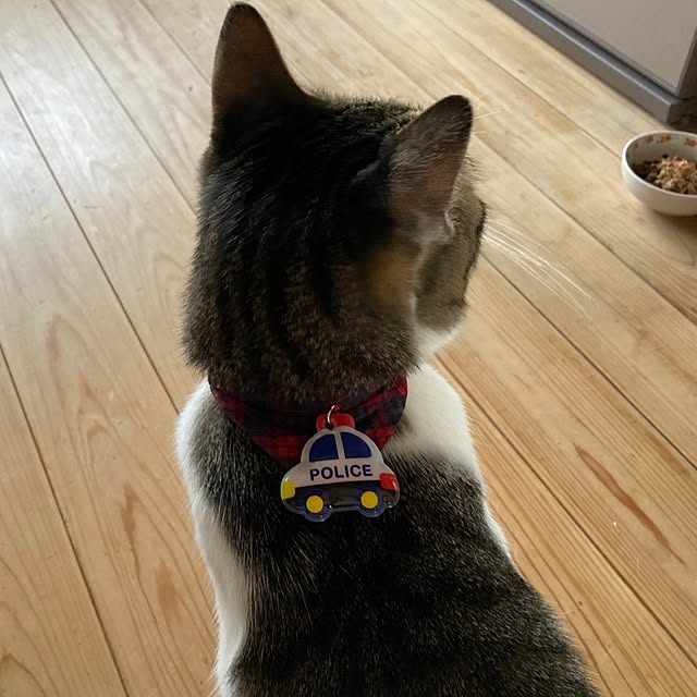 teruminさんの実例写真