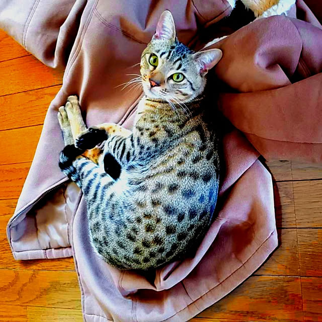 ken.kawakamiさんの実例写真