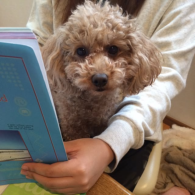 Momoさんの実例写真