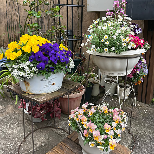 fumikoiさんの部屋