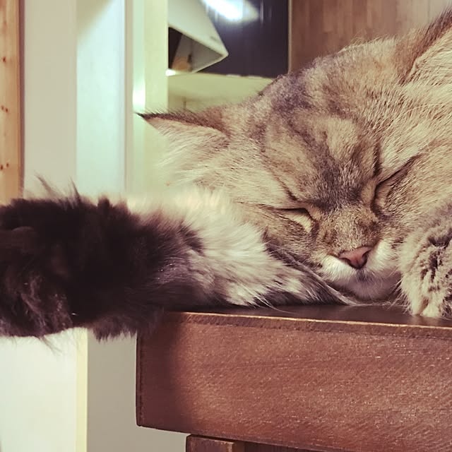 Riroさんの実例写真