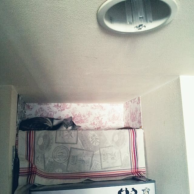 emmyyさんの実例写真