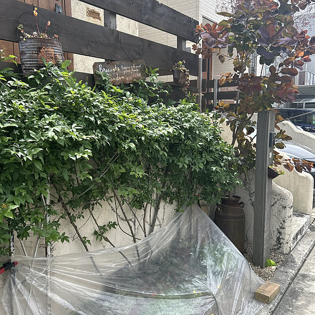 shhさんの部屋