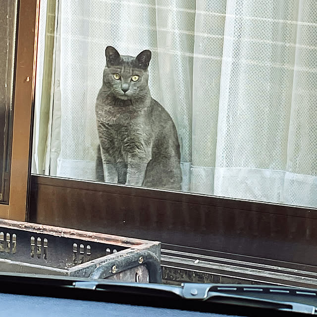 kikurinさんの実例写真
