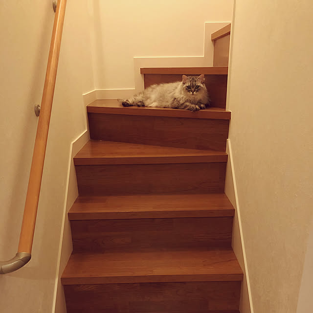 Manamiさんの実例写真