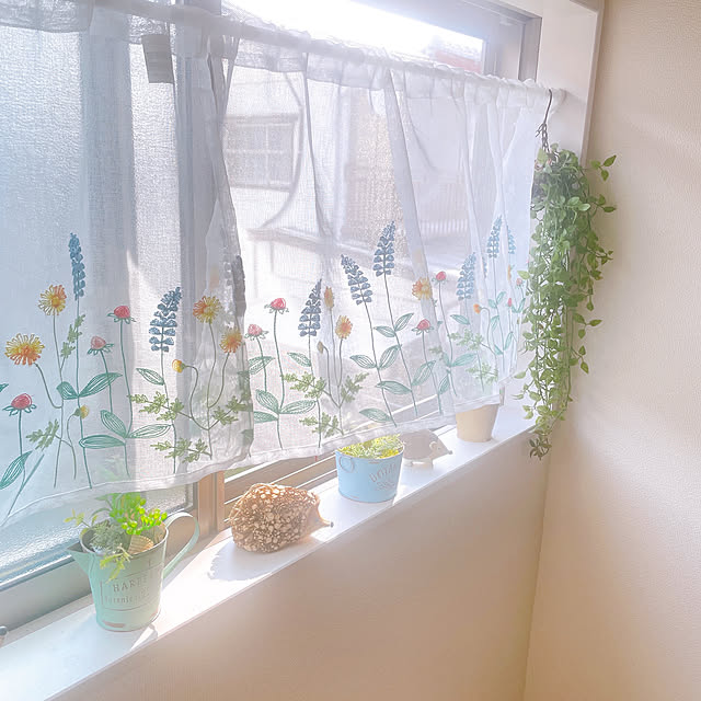 akiko-ovさんの部屋