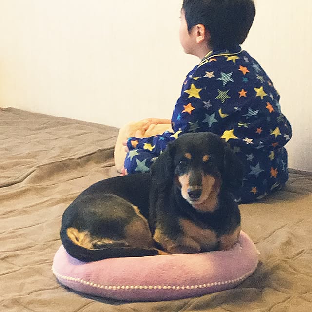 ohanaさんの実例写真