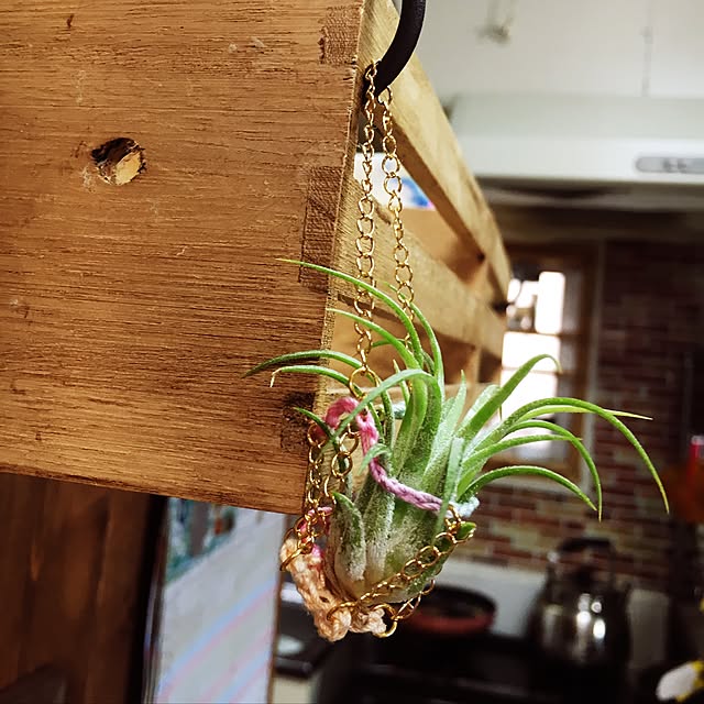cocco0505さんの実例写真
