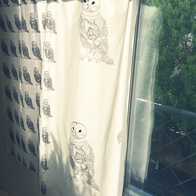 Moeさんの実例写真