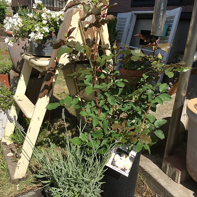 konnakanjiさんの実例写真