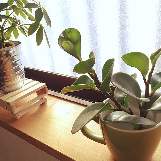 kakka_haruさんの部屋