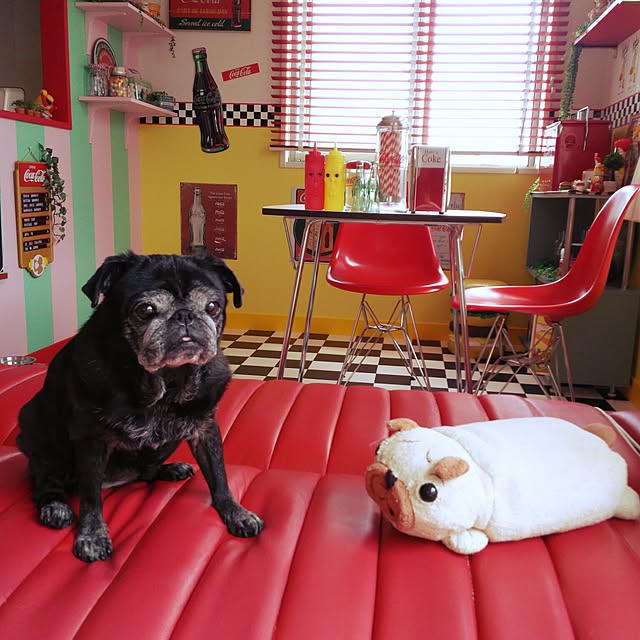 kuupugさんの実例写真
