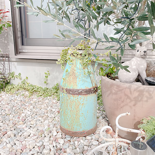 akiko-ovさんの部屋