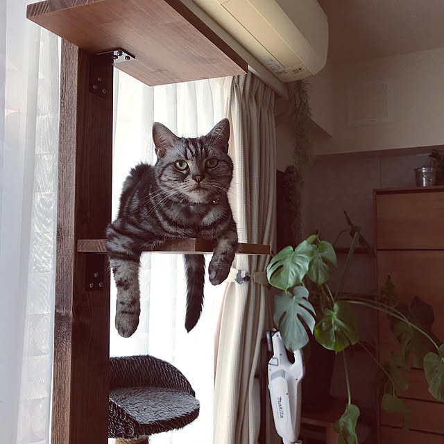 hiyupan88さんの実例写真