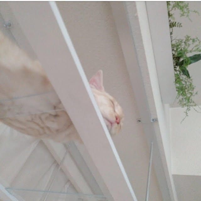 heart.emiemi57.whiteさんの実例写真