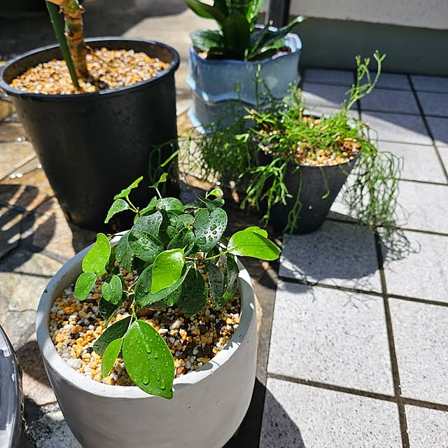makoさんの部屋