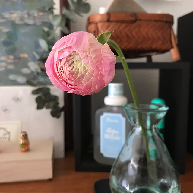 momo0025さんの実例写真