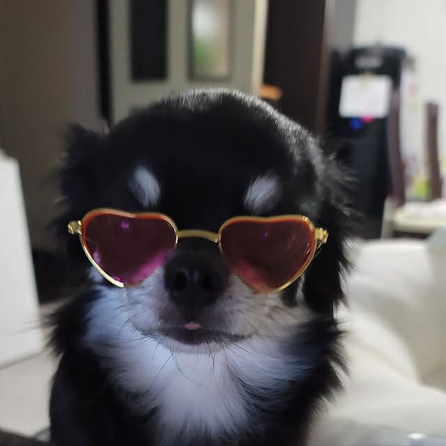 sinさんの実例写真