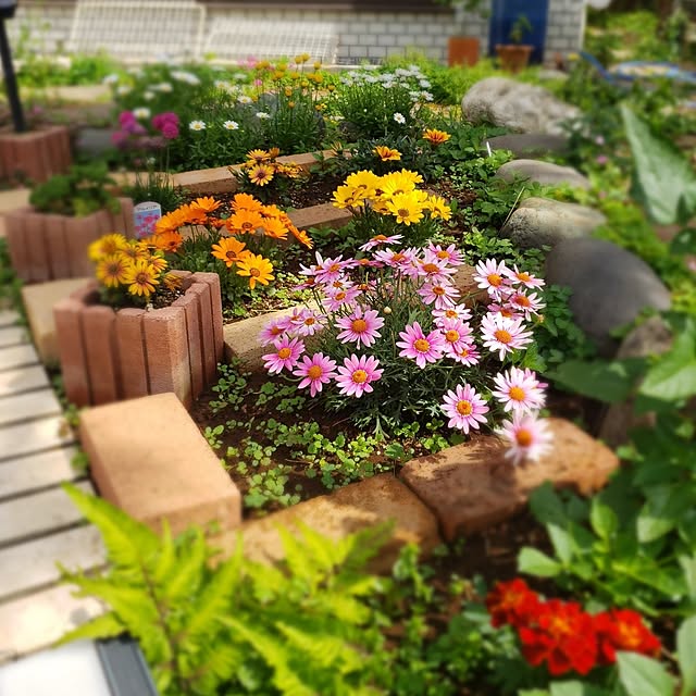 Mayumi8888さんの実例写真