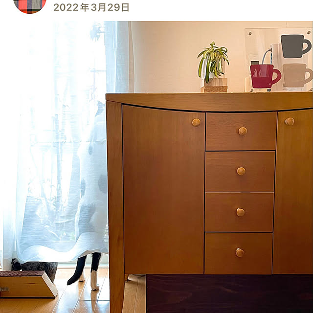 nobikoさんの部屋