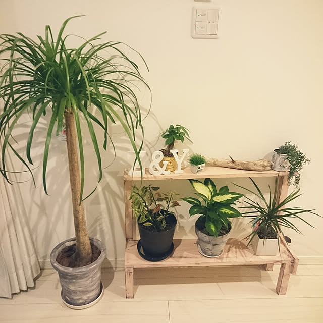 mayさんの実例写真