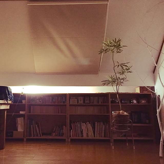 akaneさんの実例写真