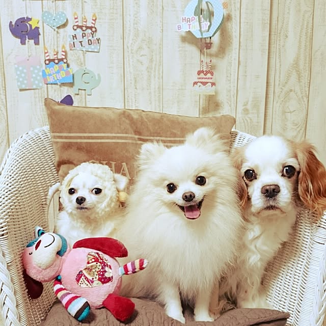 yukaさんの実例写真