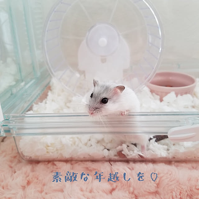 325unさんの実例写真