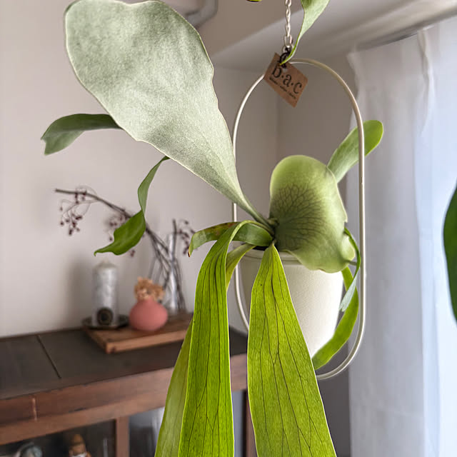 yokko_myroomさんの部屋