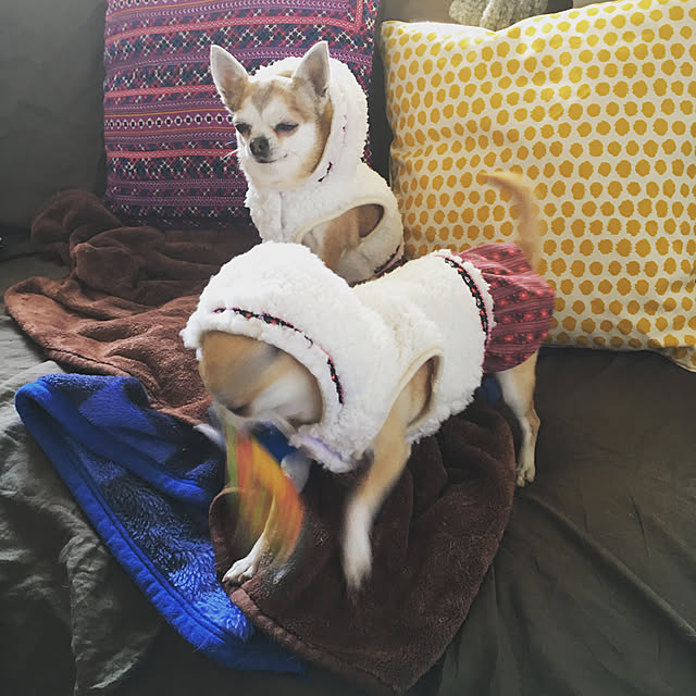 Hanagoboさんの実例写真