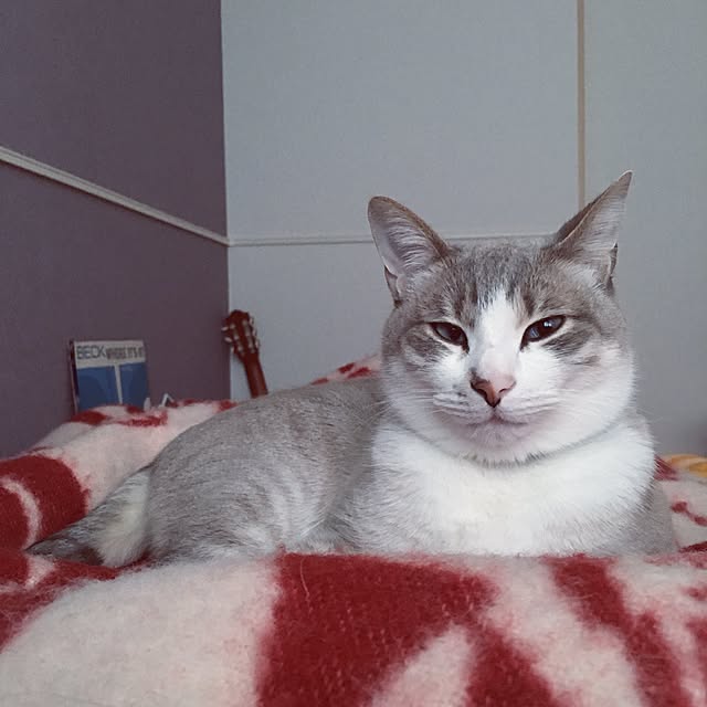 Fukafkaさんの実例写真