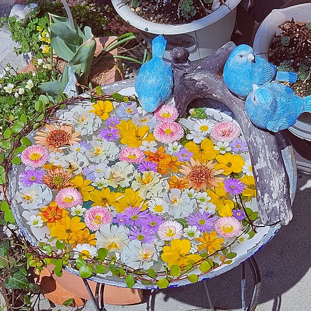 mocomocoさんの実例写真